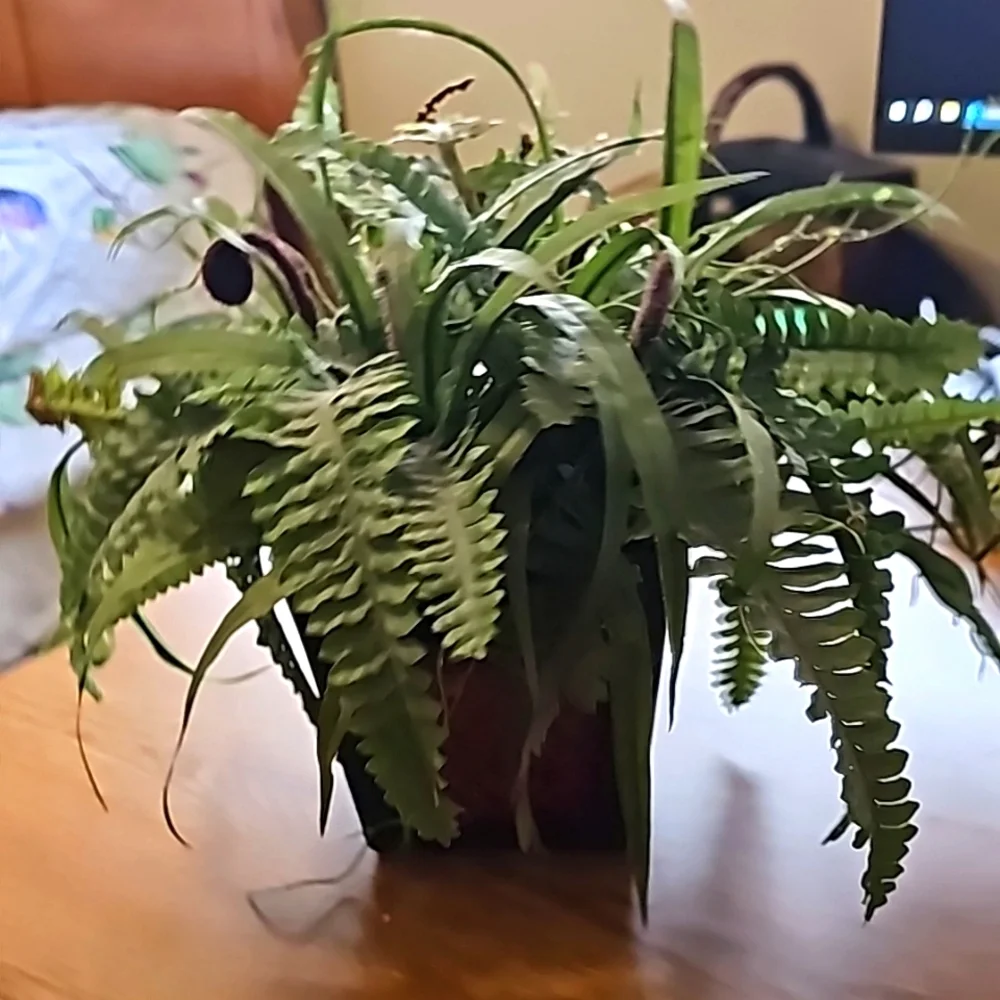 Faux Greenery appx 8-9 inches tall